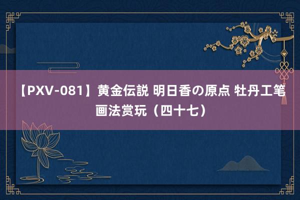 【PXV-081】黄金伝説 明日香の原点 牡丹工笔画法赏玩（四十七）