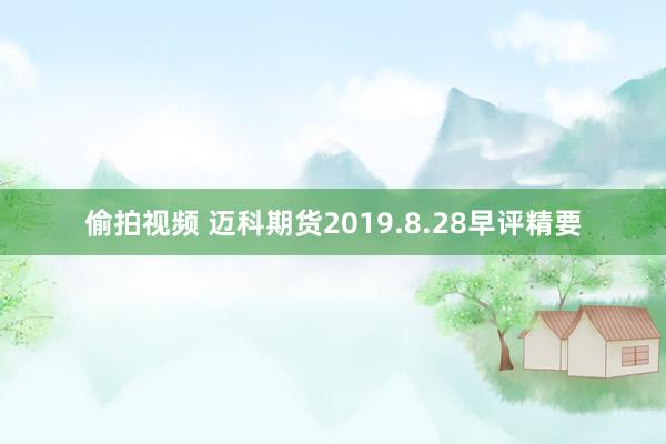 偷拍视频 迈科期货2019.8.28早评精要