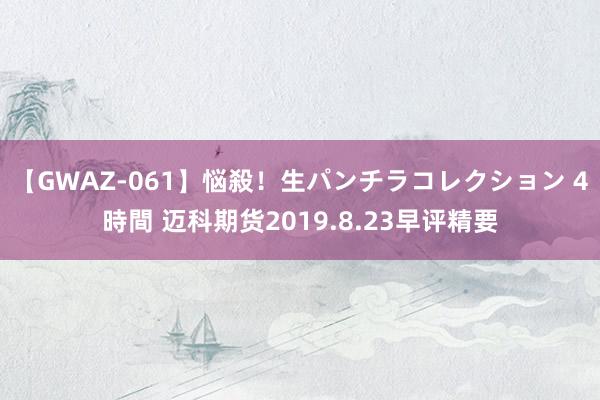 【GWAZ-061】悩殺！生パンチラコレクション 4時間 迈科期货2019.8.23早评精要