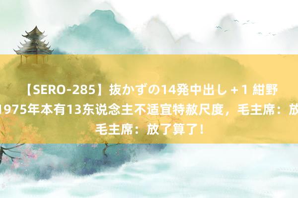 【SERO-285】抜かずの14発中出し＋1 紺野ひかる 1975年本有13东说念主不适宜特赦尺度，毛主席：放了算了！