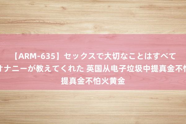 【ARM-635】セックスで大切なことはすべて君とのオナニーが教えてくれた 英国从电子垃圾中提真金不怕火黄金