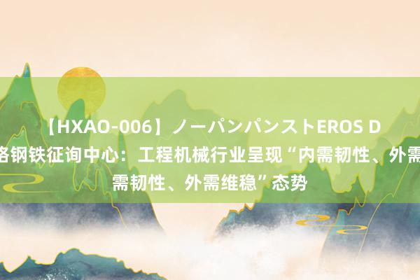 【HXAO-006】ノーパンパンストEROS DX4時間 兰格钢铁征询中心：工程机械行业呈现“内需韧性、外需维稳”态势