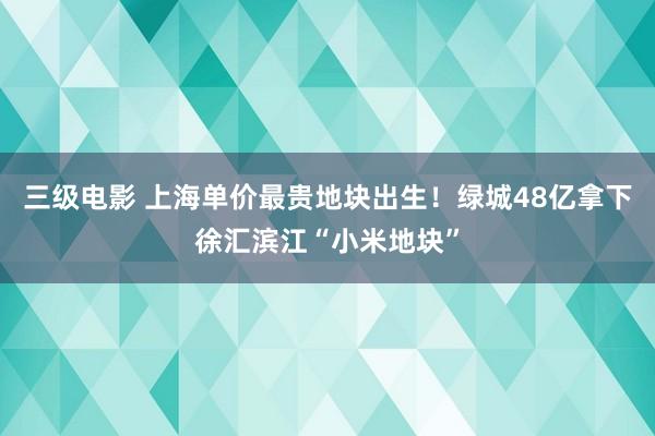 三级电影 上海单价最贵地块出生！绿城48亿拿下徐汇滨江“小米地块”