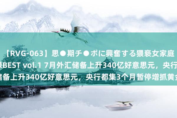 【RVG-063】思●期チ●ポに興奮する猥褻女家庭教師がした事の全記録BEST vol.1 7月外汇储备上升340亿好意思元，央行都集3个月暂停增抓黄金