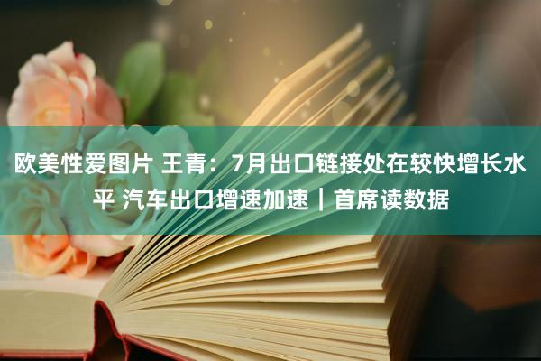 欧美性爱图片 王青：7月出口链接处在较快增长水平 汽车出口增速加速｜首席读数据