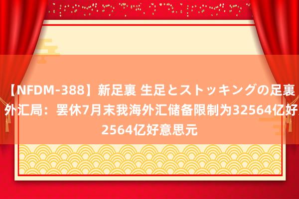 【NFDM-388】新足裏 生足とストッキングの足裏 Vol.3 外汇局：罢休7月末我海外汇储备限制为32564亿好意思元