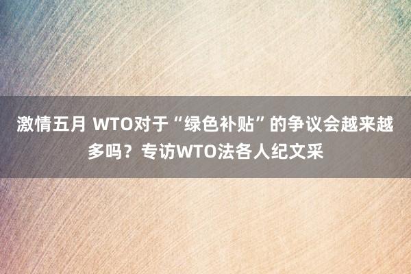 激情五月 WTO对于“绿色补贴”的争议会越来越多吗？专访WTO法各人纪文采