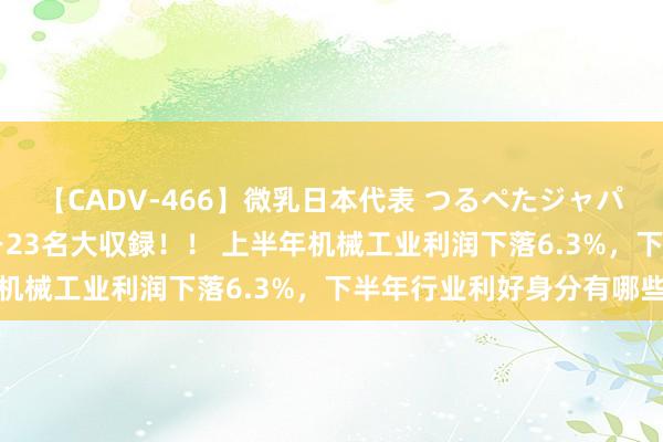 【CADV-466】微乳日本代表 つるぺたジャパン 8時間 最終メンバー23名大収録！！ 上半年机械工业利润下落6.3%，下半年行业利好身分有哪些