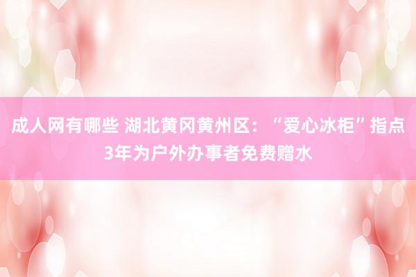 成人网有哪些 湖北黄冈黄州区：“爱心冰柜”指点3年为户外办事者免费赠水