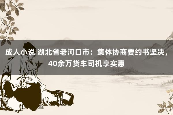 成人小说 湖北省老河口市：集体协商要约书坚决，40余万货车司机享实惠