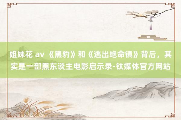 姐妹花 av 《黑豹》和《逃出绝命镇》背后，其实是一部黑东谈主电影启示录-钛媒体官方网站