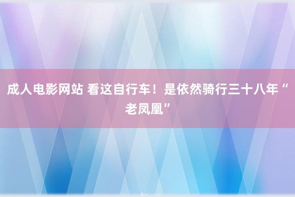 成人电影网站 看这自行车！是依然骑行三十八年“老凤凰”