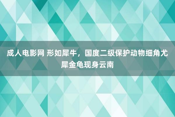 成人电影网 形如犀牛，国度二级保护动物细角尤犀金龟现身云南