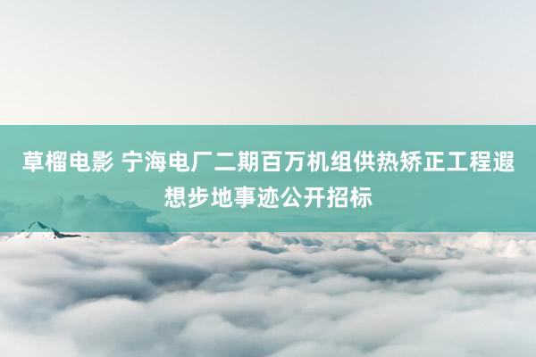 草榴电影 宁海电厂二期百万机组供热矫正工程遐想步地事迹公开招标