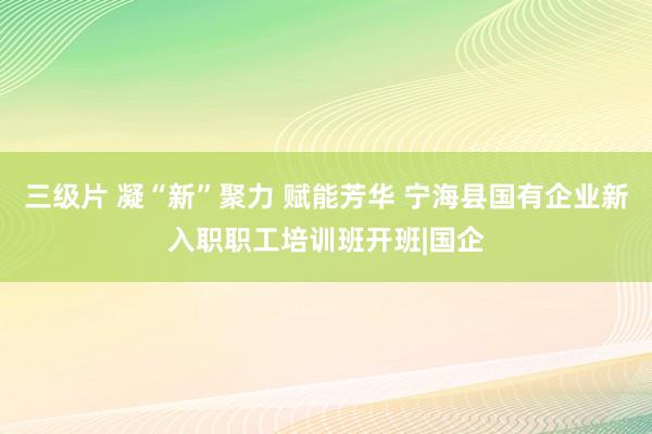 三级片 凝“新”聚力 赋能芳华 宁海县国有企业新入职职工培训班开班|国企