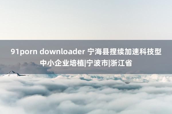 91porn downloader 宁海县捏续加速科技型中小企业培植|宁波市|浙江省